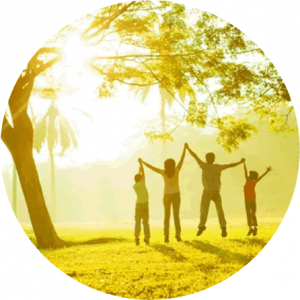 Family under tree, sunlight