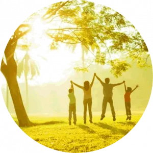 Family under tree, sunlight